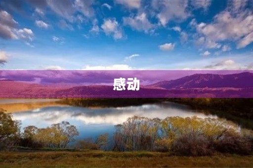 感动 感动