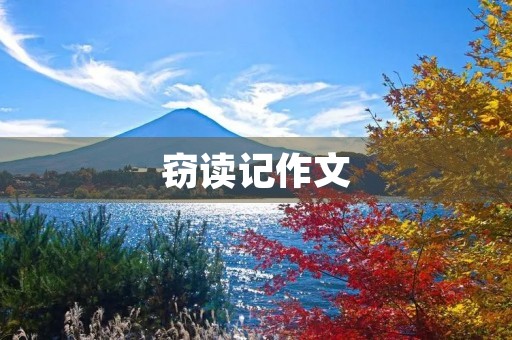 窃读记作文