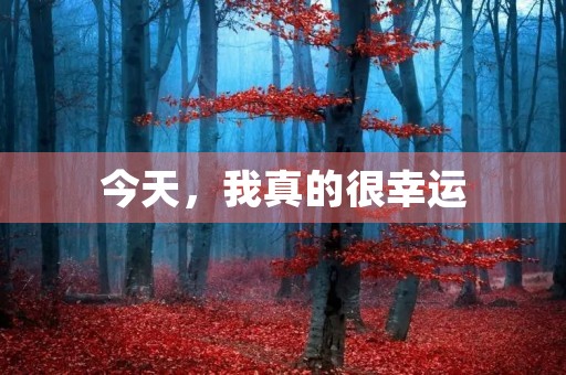 今天,我真的很幸运 今天,我真的很幸运