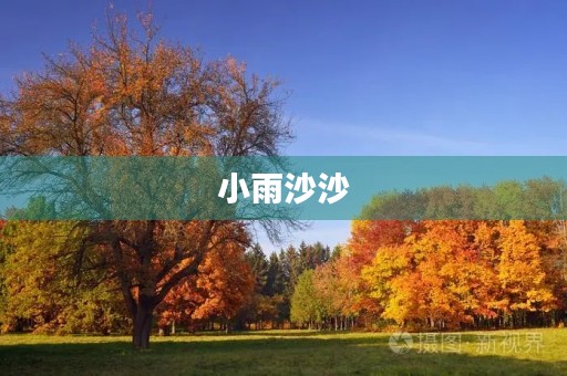 小雨沙沙 小雨沙沙