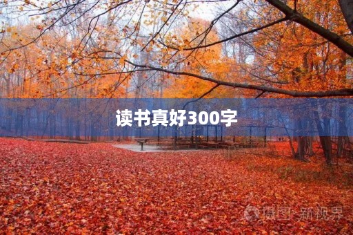 读书真好300字 读书真好300字