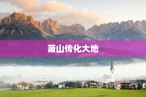萧山传化大地 萧山传化大地