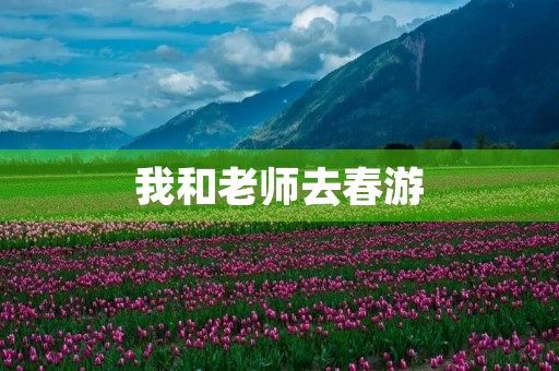 我和老师去春游
