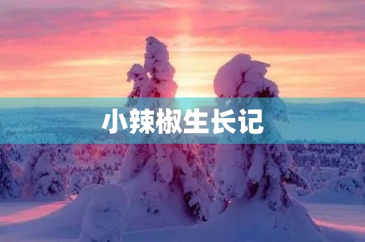 小辣椒生长记 小辣椒生长记