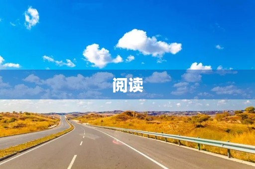 阅读 阅读