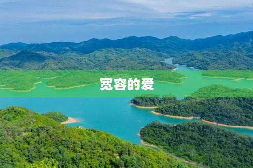 宽容的爱