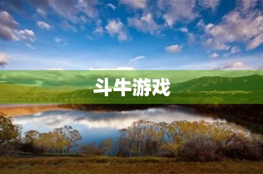 斗牛游戏 斗牛游戏