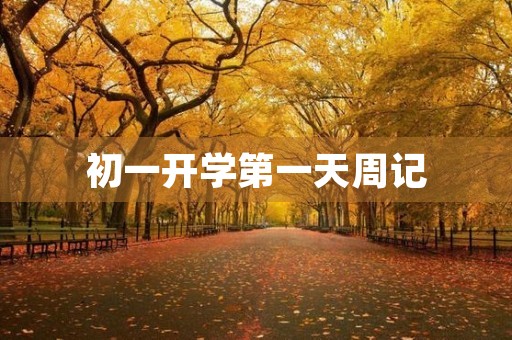 初一开学第一天周记