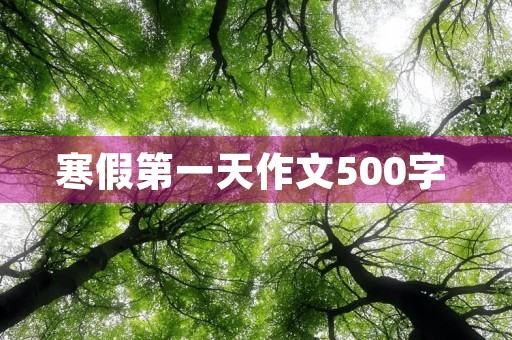 寒假第一天作文500字 寒假第一天作文500字