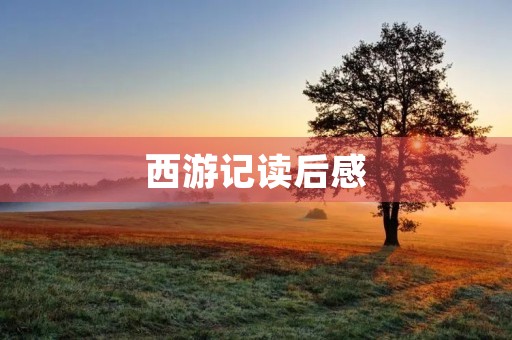 西游记读后感 西游记读后感