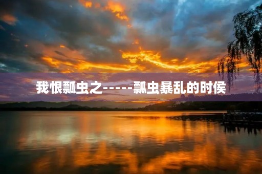 我恨瓢虫之-----瓢虫暴乱的时侯 我恨瓢虫之-----瓢虫暴乱的时侯