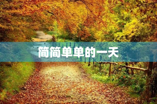 简简单单的一天 简简单单的一天
