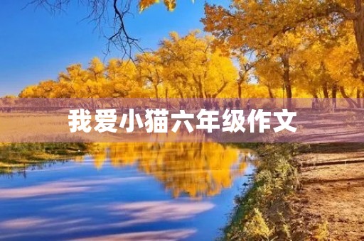 我爱小猫六年级作文