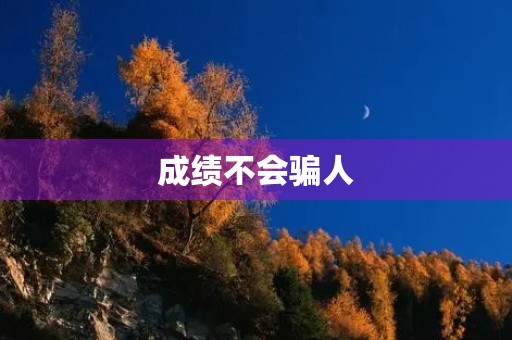 成绩不会骗人