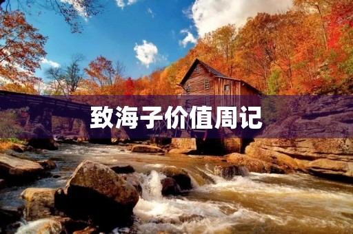 致海子价值周记