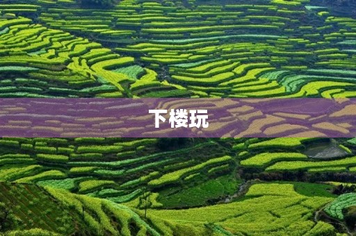 下楼玩 下楼玩