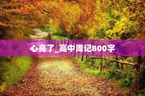 心亮了_高中周记800字