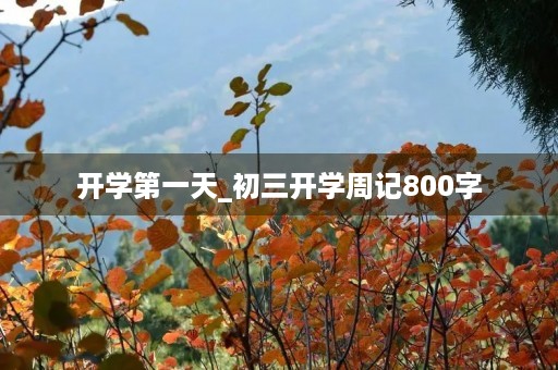 开学第一天_初三开学周记800字 开学第一天_初三开学周记800字
