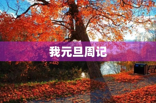 我元旦周记