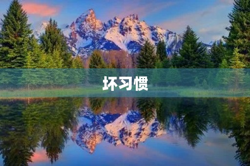 坏习惯 坏习惯