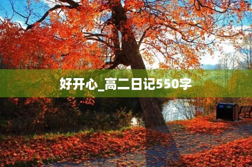 好开心_高二日记550字 好开心_高二日记550字