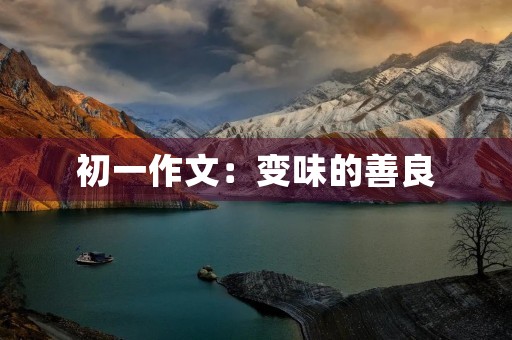初一作文:变味的善良 初一作文:变味的善良