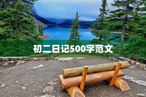初二日记500字范文