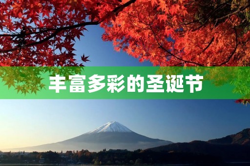 丰富多彩的圣诞节