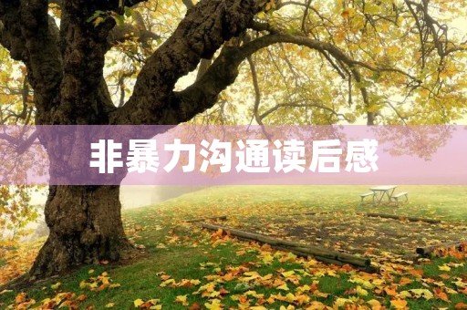 非暴力沟通读后感