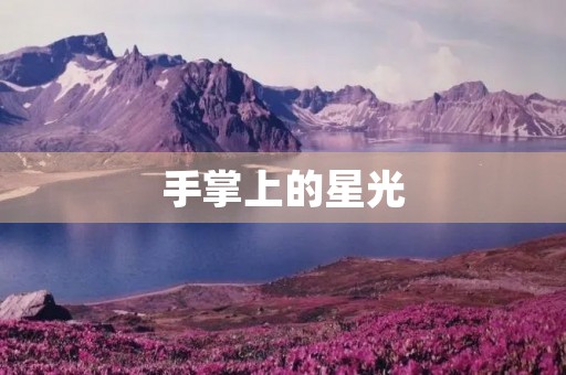 手掌上的星光 手掌上的星光