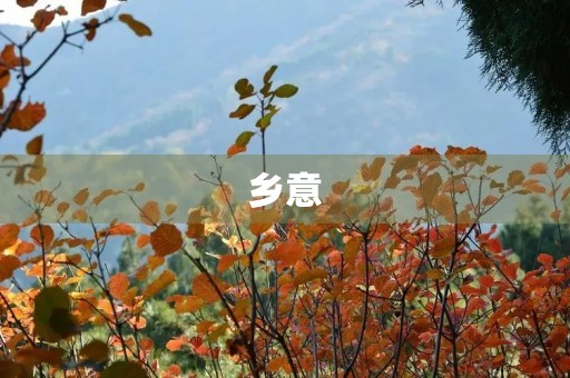 乡意