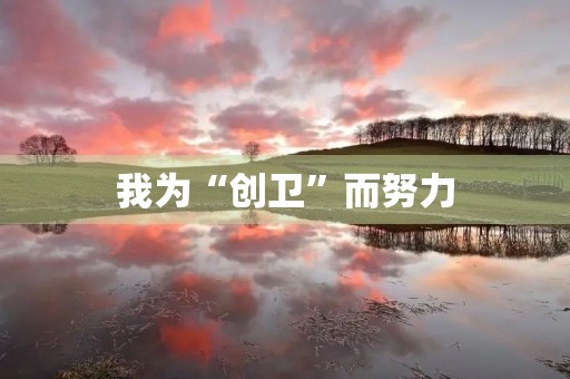 我为“创卫”而努力 我为“创卫”而努力
