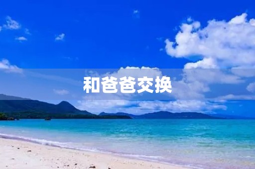 和爸爸交换