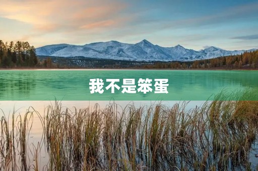 我不是笨蛋 我不是笨蛋