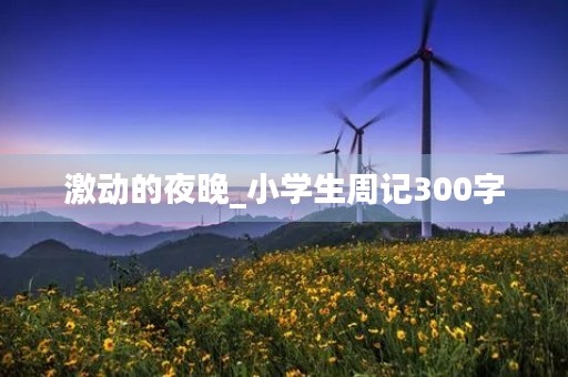 激动的夜晚_小学生周记300字 激动的夜晚_小学生周记300字