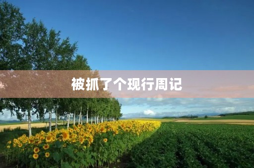 被抓了个现行周记
