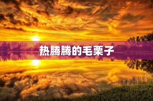 热腾腾的毛栗子 热腾腾的毛栗子