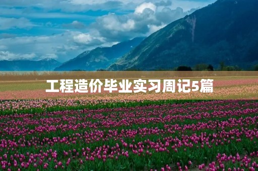 工程造价毕业实习周记5篇 工程造价毕业实习周记5篇