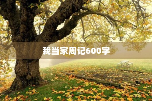 我当家周记600字