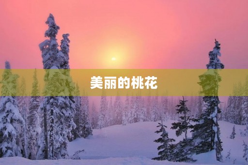 美丽的桃花 美丽的桃花