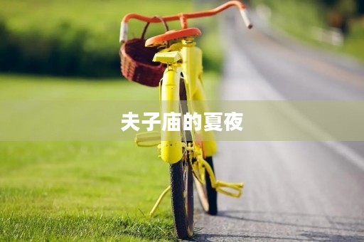 夫子庙的夏夜 夫子庙的夏夜