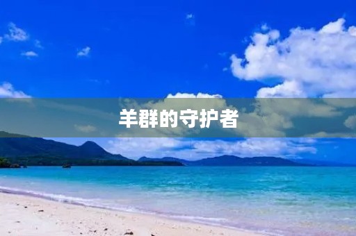 羊群的守护者 羊群的守护者