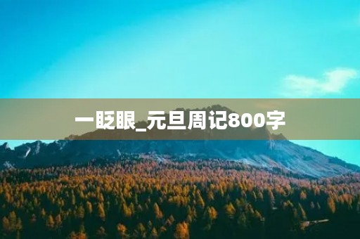 一眨眼_元旦周记800字 一眨眼_元旦周记800字