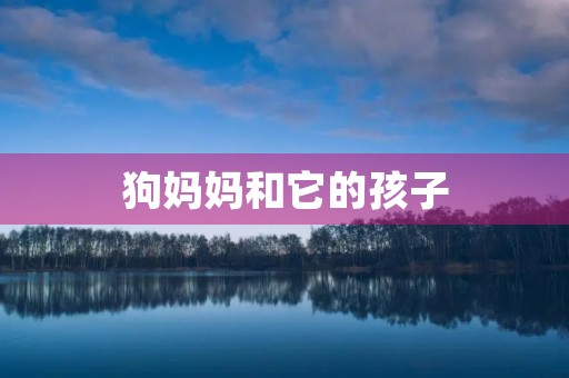 狗妈妈和它的孩子