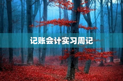 记账会计实习周记