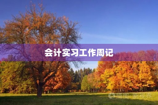 会计实习工作周记 会计实习工作周记