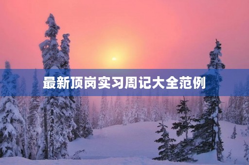 最新顶岗实习周记大全范例
