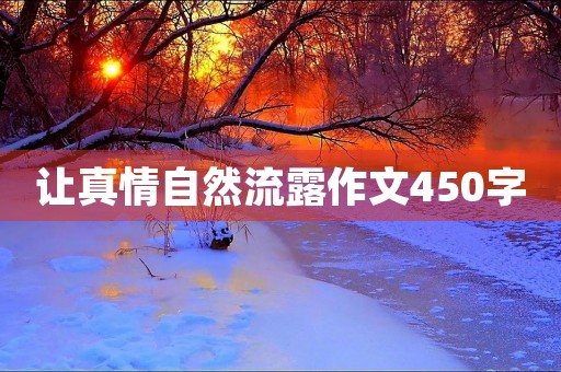 让真情自然流露作文450字