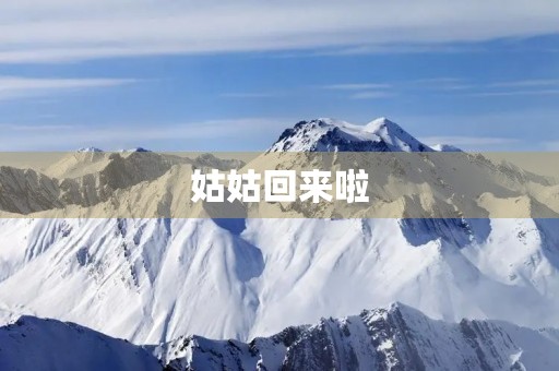 姑姑回来啦 姑姑回来啦