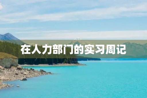 在人力部门的实习周记